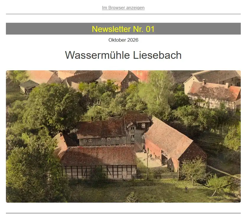Kopf des neuen Newsletters